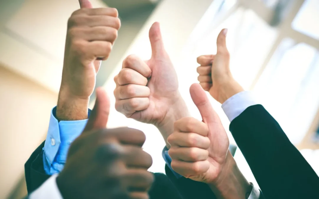 What is a Vital Team?