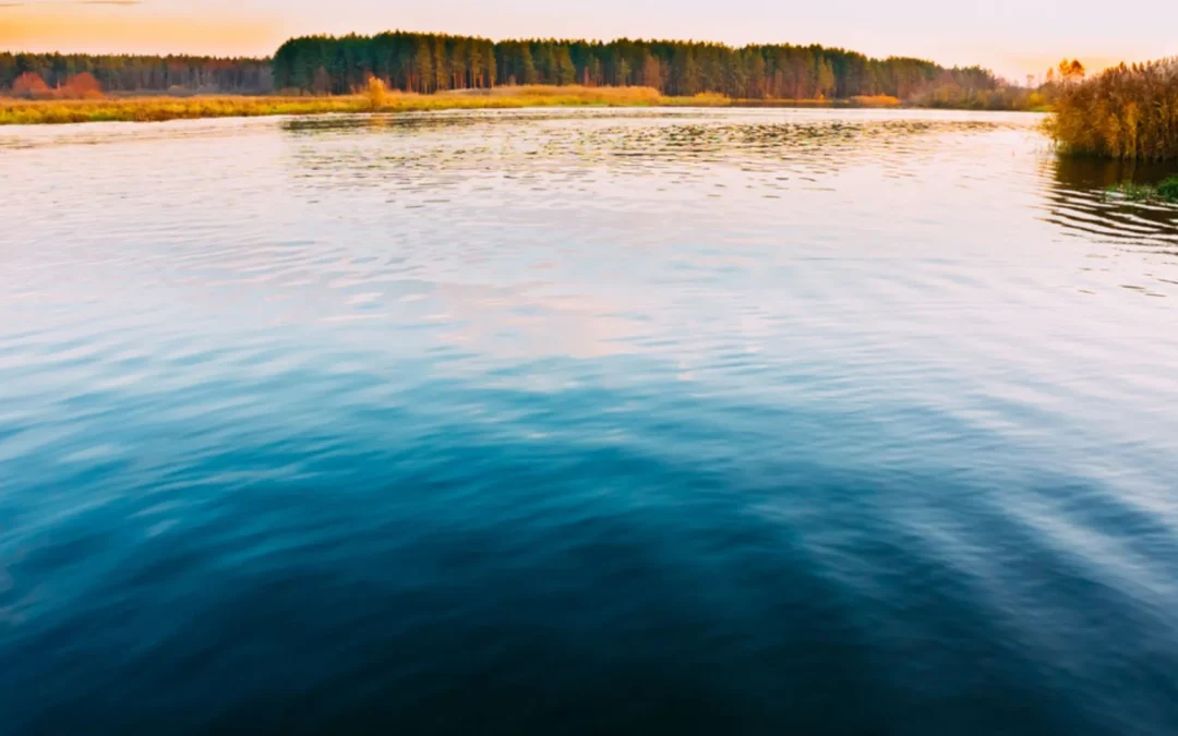 On the merits of productive disengagement