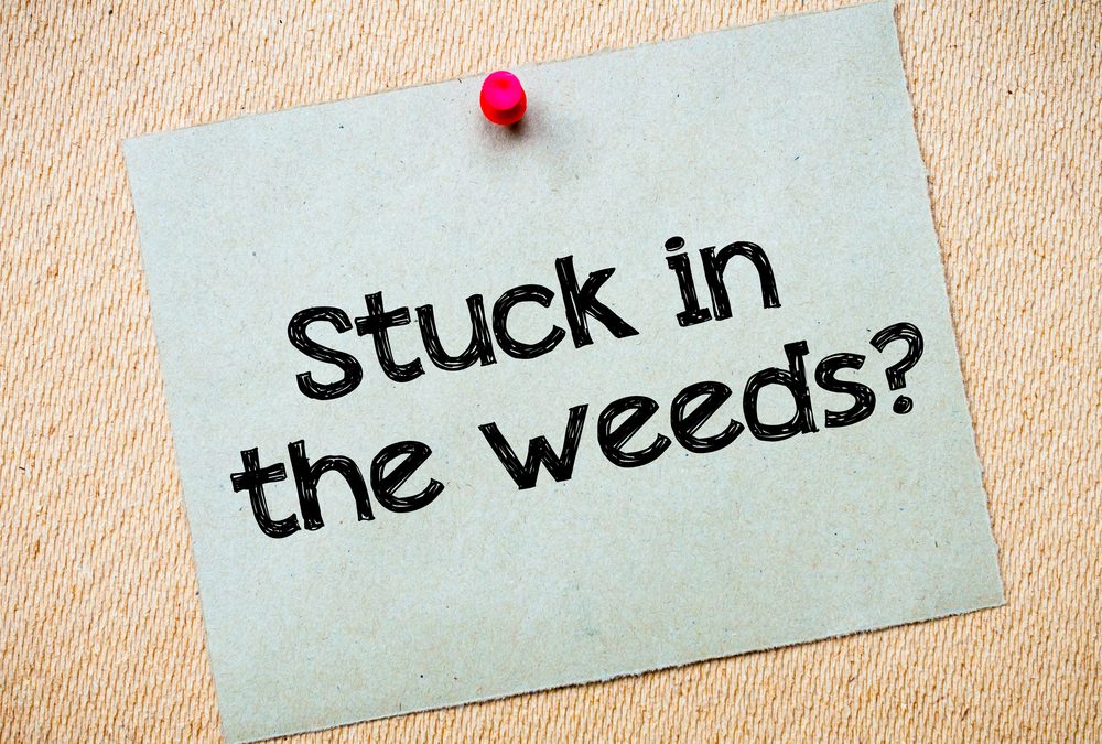 Post it note pinned to bulletin board that says "stuck in the weeds"