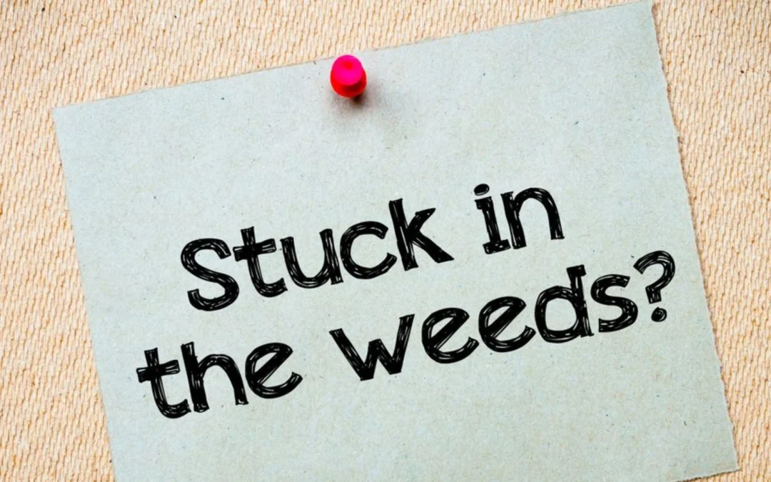 Post it note pinned to bulletin board that says "stuck in the weeds"