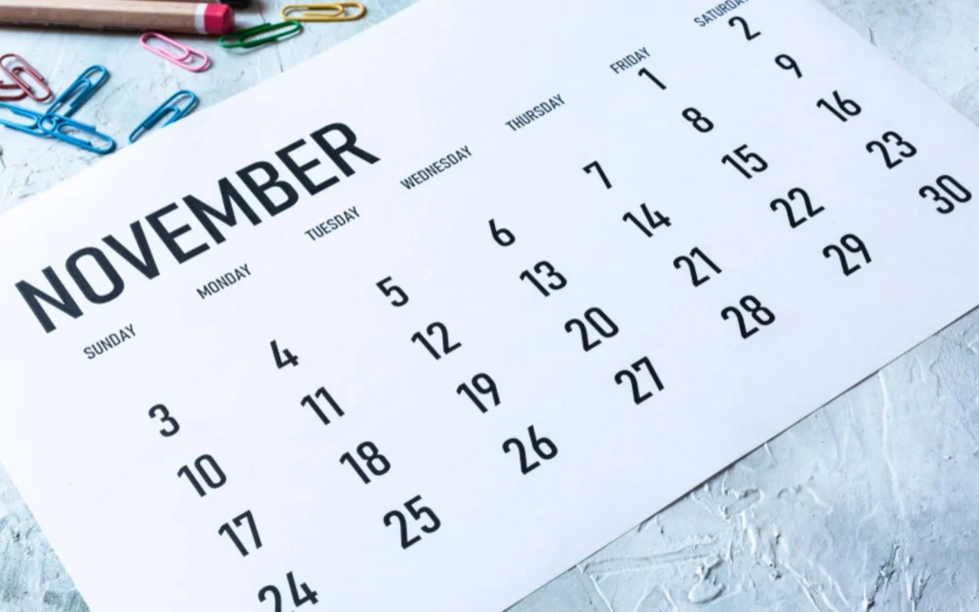 How did NOvember go?