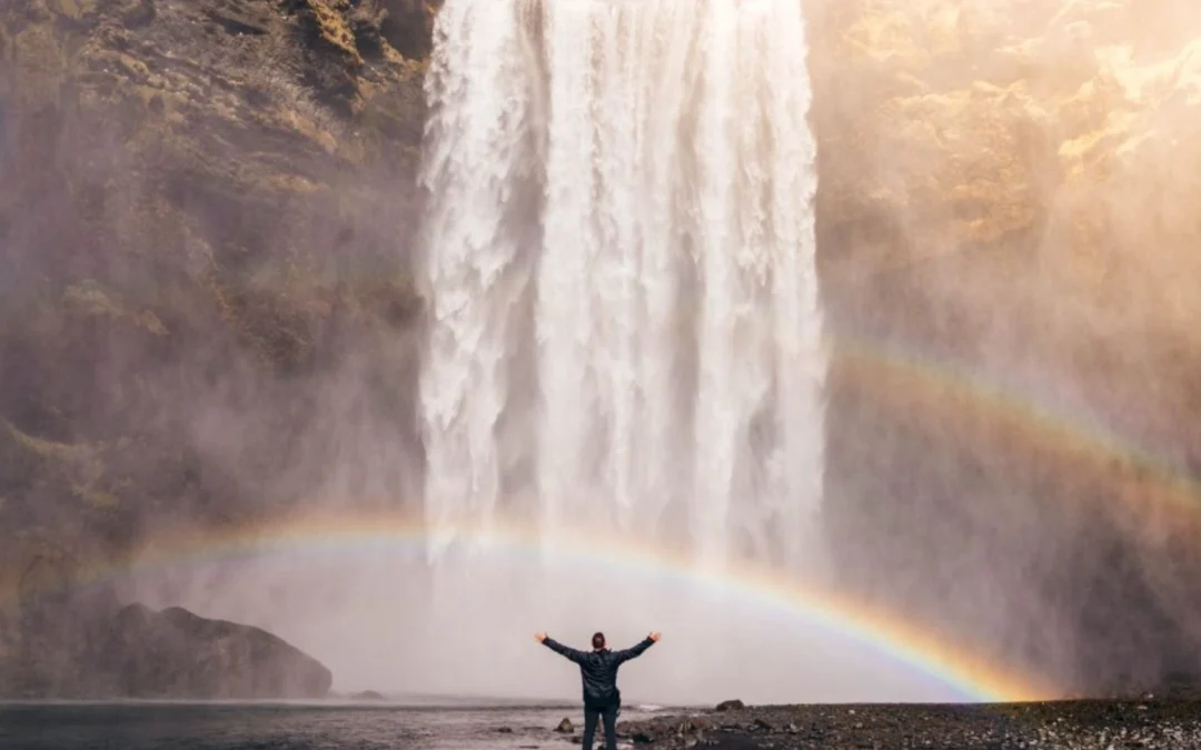 Never Waste a Crisis